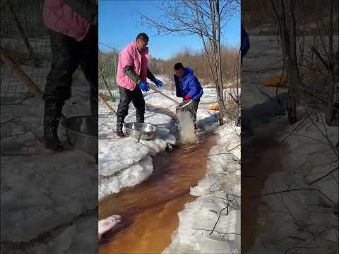 Unique and Effective Ways to Catch Fish Outdoors That You Won't Believe #145