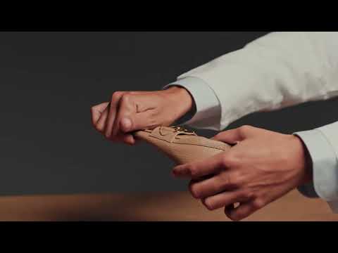 Ícones de Tod - Anel T de Tod