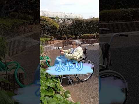 ガーデントンネル温室を設置します 寒い季節に植物を育てます 温室を温めます