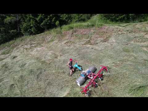 1 Schnitt | 2023 | Brielmaier | Aebi CC66 | Sip Kreisler | Rechenflitzer