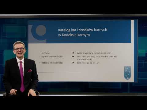 Penalties and penal measures in the Code of Petty Offences and the Penal Code - dr hab. Wojciech ...