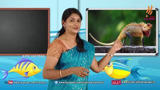 Standard 3 | Environmental Studies | Class – 07