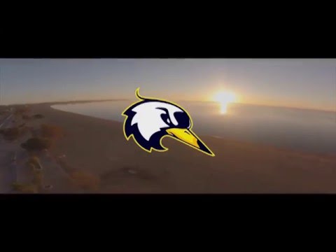 Chamada Intermed - Medicina Leiga - AAL - UFPEL