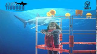 DIA 2 Expo Tiburon115