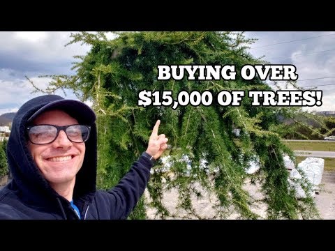 download lagu mp3 mp4 Flowering Trees That Start With M, download lagu Flowering Trees That Start With M gratis, unduh video klip Flowering Trees That Start With M