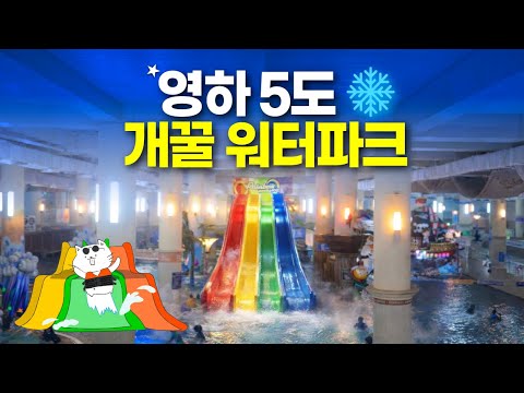 웅진 플레이도시에서 8시간 만에 모든 물놀이 즐기기!