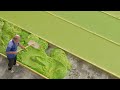 Inside World S Oldest Machineless Soap Factory