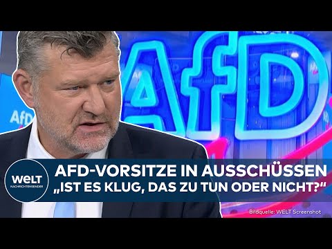 Video Thumbnail: BUNDESTAG: Vorsitze für AfD? Heftige Debatte! Ausschüsse stellen Parteien vor Dilemma