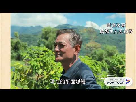 打造友善咖啡園 醞釀苦盡甘來的香醇
