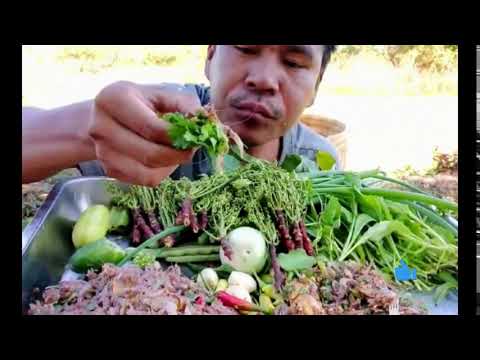 ASMR eating raw small shrimp  with vegetable _ Spicy thai food eating _ mukbang thailand