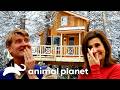 The Absolute Craziest Treehouses Of SEASON 3 Treehouse Masters Animal Planet