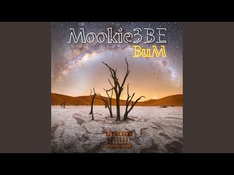 Outta Town Wita Bitch (feat. Pablo Skywalkin)