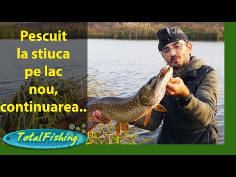 Pescuit la stiuca pe lac nou, continuarea...