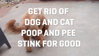 How To Get Rid of Dog and Cat Urine from your Outdoor Turf and Patio.