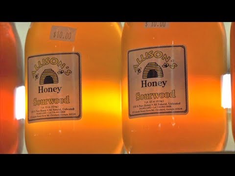 download lagu mp3 mp4 Georgia Honey Bee Company, download lagu Georgia Honey Bee Company gratis, unduh video klip Georgia Honey Bee Company