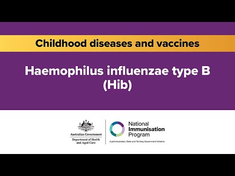 What is hib? Why childhood immunisation are important