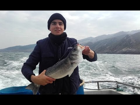 THE NORTH COAST - Palangre de superficie