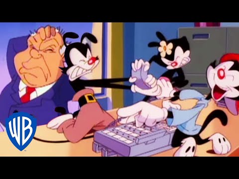 Animaniacs | The Warners Become Secretaries | Classic Cartoon | WB Kids