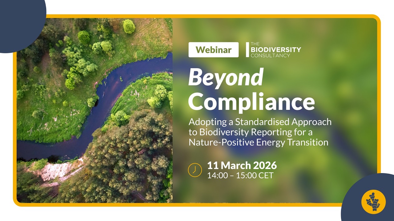 Adopting a Standardised Approach to Biodiversity Reporting for a Nature-Positive Energy Transition