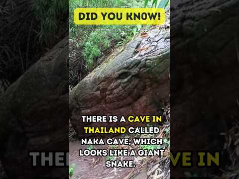 Giant Snake Rock in Thailand #Shorts #Viral #Shortvideos #lnakacave #Thailand