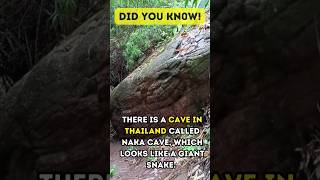 Download lagu Giant Snake Rock in Thailand #Shorts #Viral #Shortvideos #lnakacave #Thailand mp3 Download lagu Giant Snake Rock in Thailand #Shorts #Viral #Shortvideos #lnakacave #Thailand mp3