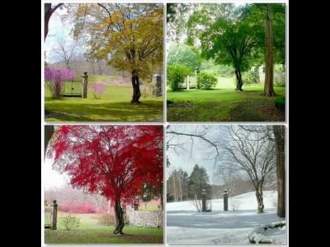 LE ORME - se io lavoro