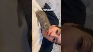 Delivery Driver Found This Tiny Kitten All Alone On Her Route | The Dodo
