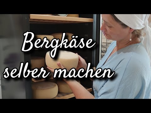 The recipe for mountain cheese with instructions - make cheese yourself