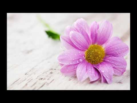 Celu Celu - Kendon Gjergj Suljoti & Kori Lira