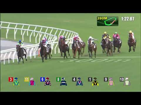 6/7/2022 (798) Tailor Made - J Moreira