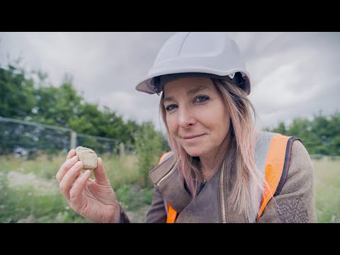 Digging for Britain S12E4 | Roman Crime, DNA Secrets & Epic Northern Discoveries