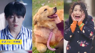 最愛の恋人の形見である犬を失った男は、一体どうなってしまうのか？心の病を抱えながらも平和に生きようとした彼を、執拗ないじめと罠が狂気の淵へと突き落とす🎬私を愛してくれる天使が現れるでしょう