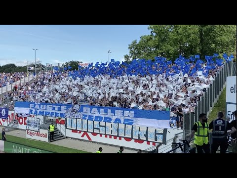 Stimmungsvideo: Zebras überrollen Meppen (SV Meppen - MSV Duisburg 0:3)
