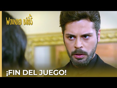 ¡Fin del juego! | Omer Sueños Robados Capítulo 195