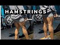 Hamstrings Have Been Flourishing | Current Hammie Routine