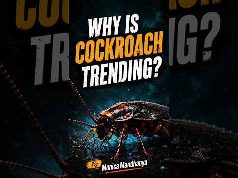 What Is Cockroach Janta Party? India’s Viral Gen Z Movement Explained