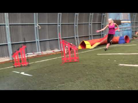 Antti Jussila agility
