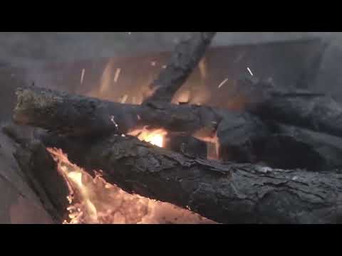 Opwekking 466 Wandel in het licht