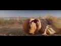 Annabelle Creation The Accident