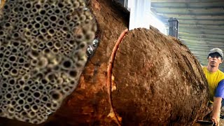 Download lagu TENSE! The atmosphere in sawmill is very dangerous mp3