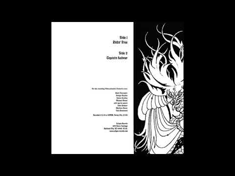 Vibracathedral Orchestra ‎– Ridin' Free / Captain Labour (Full Album, 2004)