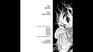 Vibracathedral Orchestra ‎– Ridin' Free / Captain Labour (Full Album, 2004)