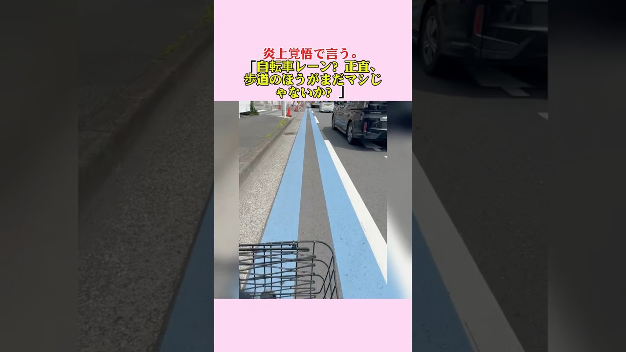 自転車レーン？正直、歩道の方がまだマシじゃないか？？に対する世間の反応集　#政治