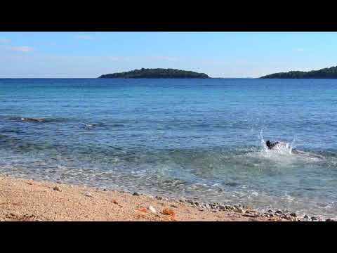 Autumn Swimming in Prizba