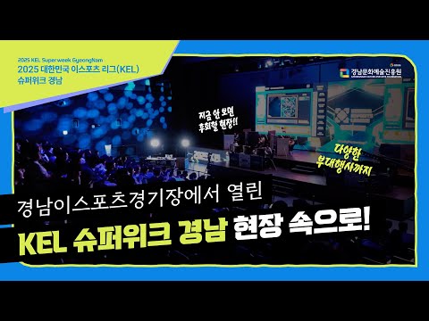 비디오 14