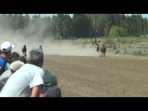 LONJAZO  Club Hipico "Cabo Alarcon" - Picun Leufu  -  15-01-2023