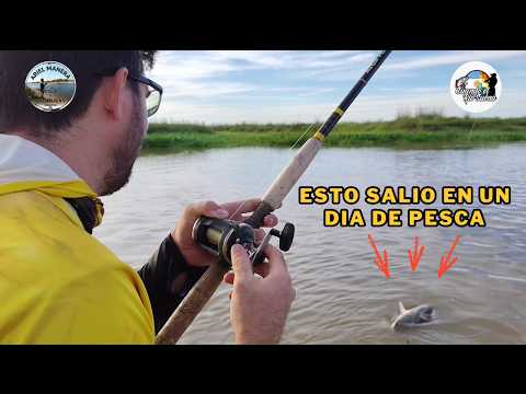 ¡ MIRA! ESTO PESCAMOS EN UN SOLO DIA - SAN JAVIER 2026