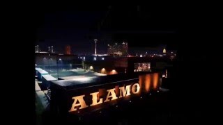 Texas Alley Katz   Wooly Bully   AlamoBrewery