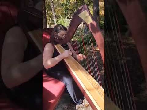Promotional video thumbnail 1 for Rachel Payne - Harpist