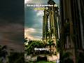 Scary AI Transition Bangalore Without Human Ai Trending Shorts Aiart